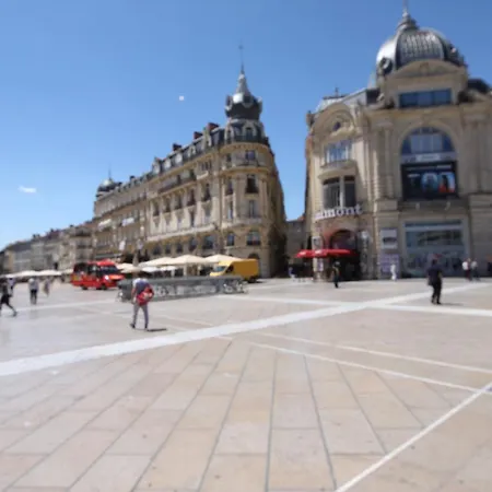 Montcalm Climatise En Plein Ecusson Appartamento *